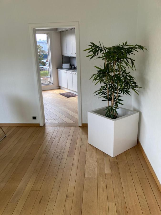 Lichtrijk Mooi Appartement Met Zicht Op Hof Van Roosendael 안트베르펜 외부 사진